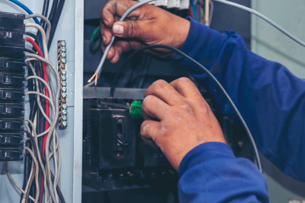 Best Licensed Electrician  in Atwater, MN